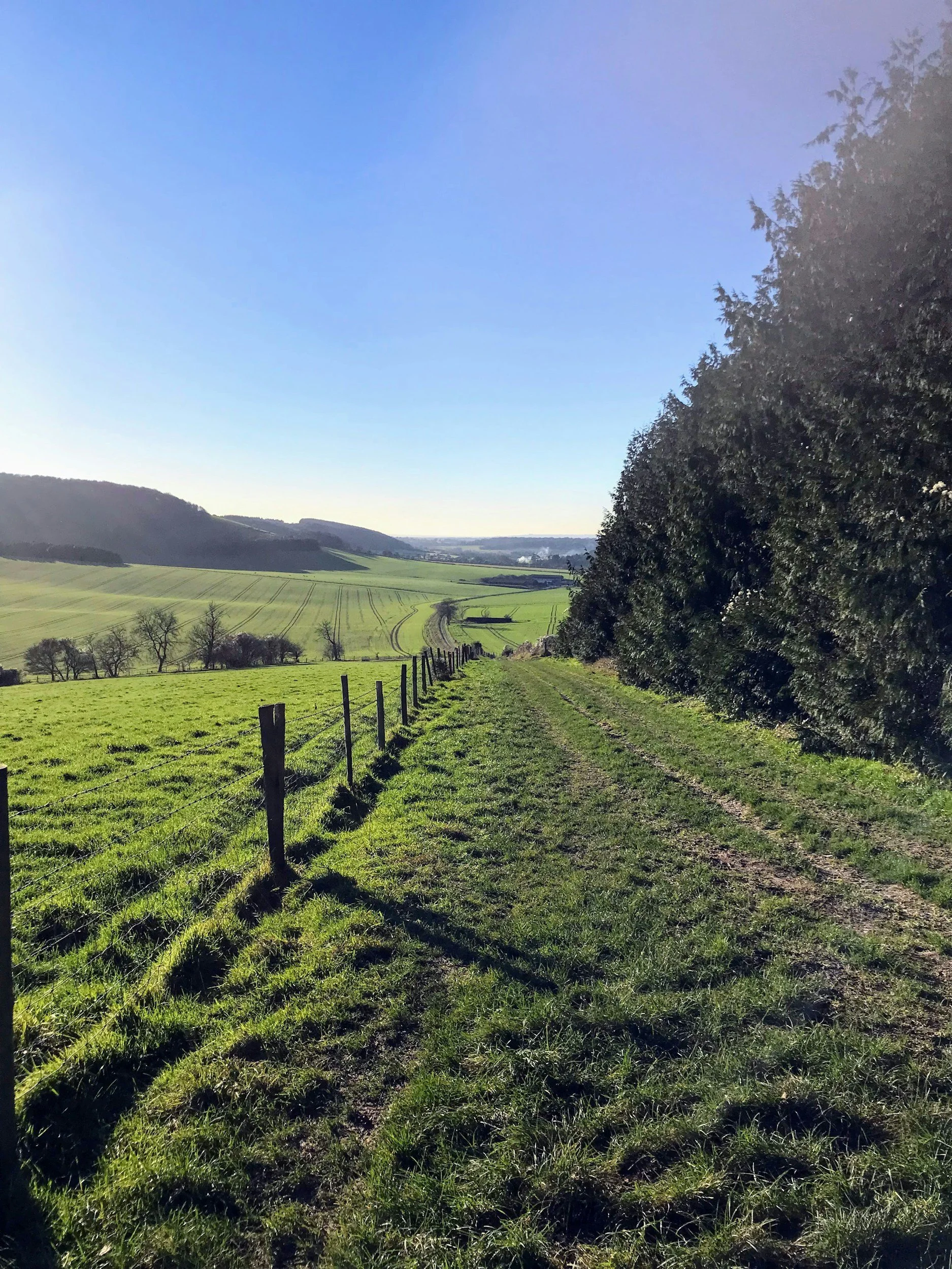Evening Foraging Walk and Optional Wood-Fired Sauna