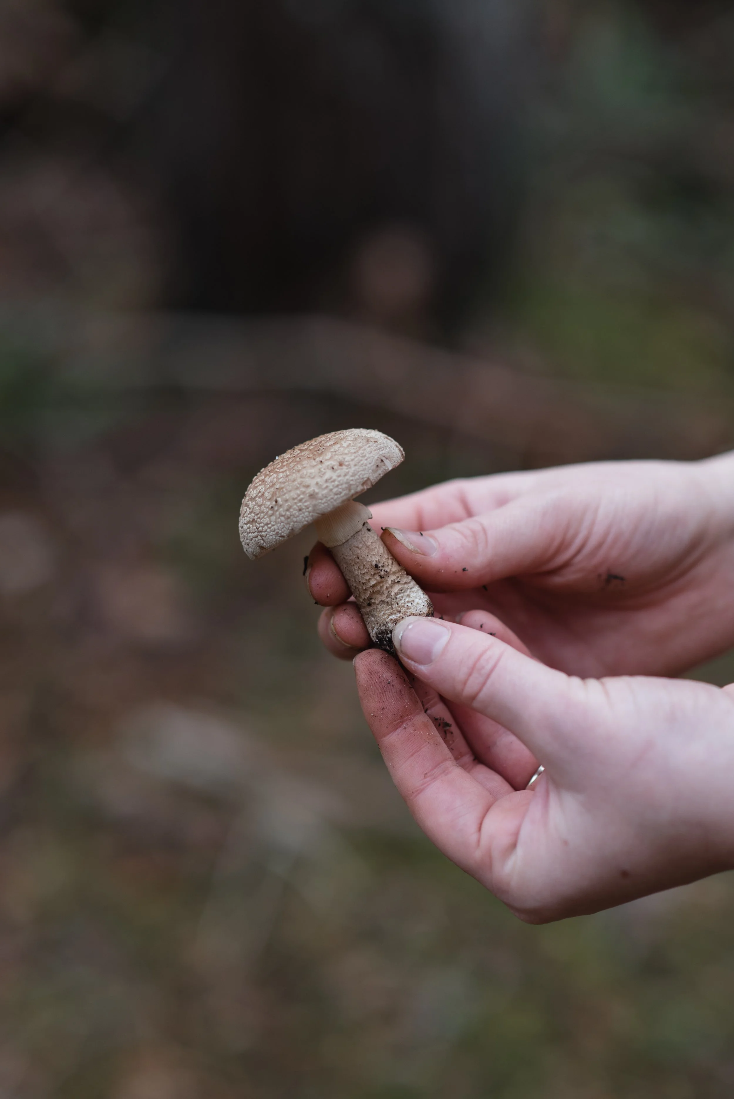 Megan October-166.jpg