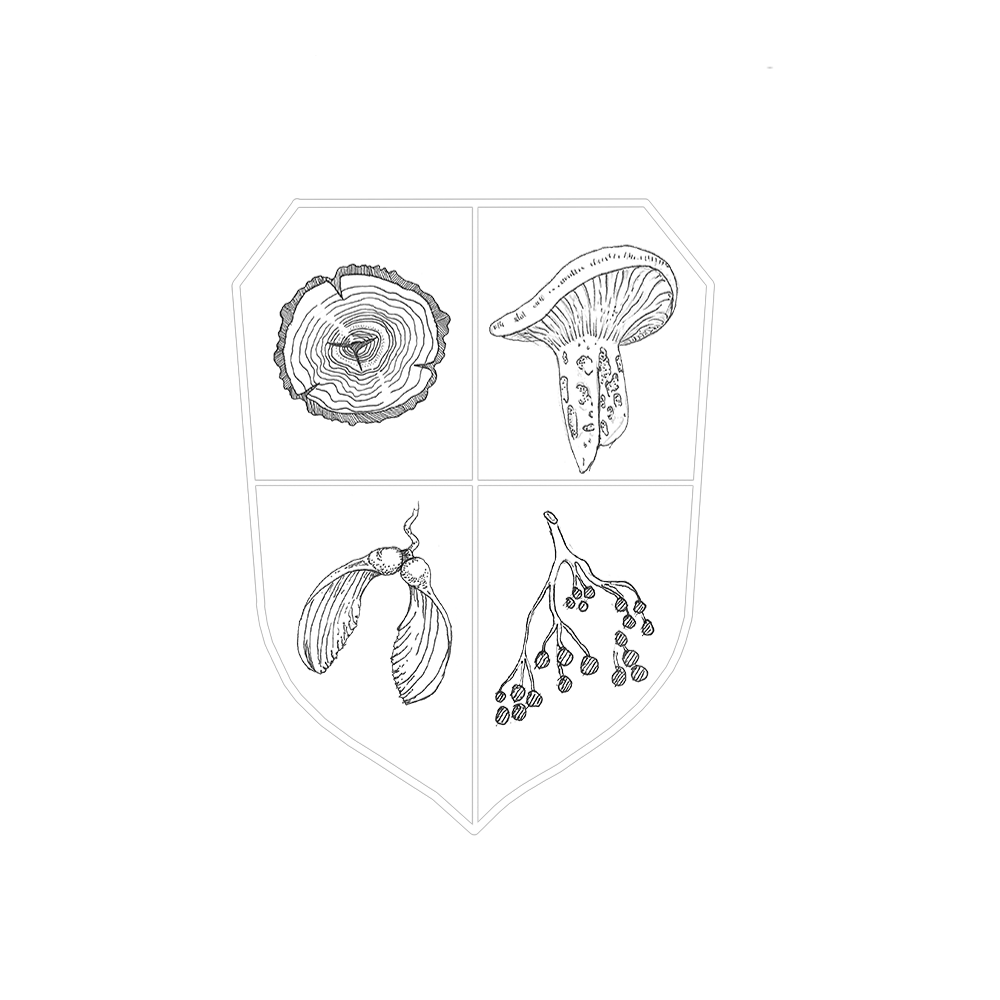 Terra Vitum