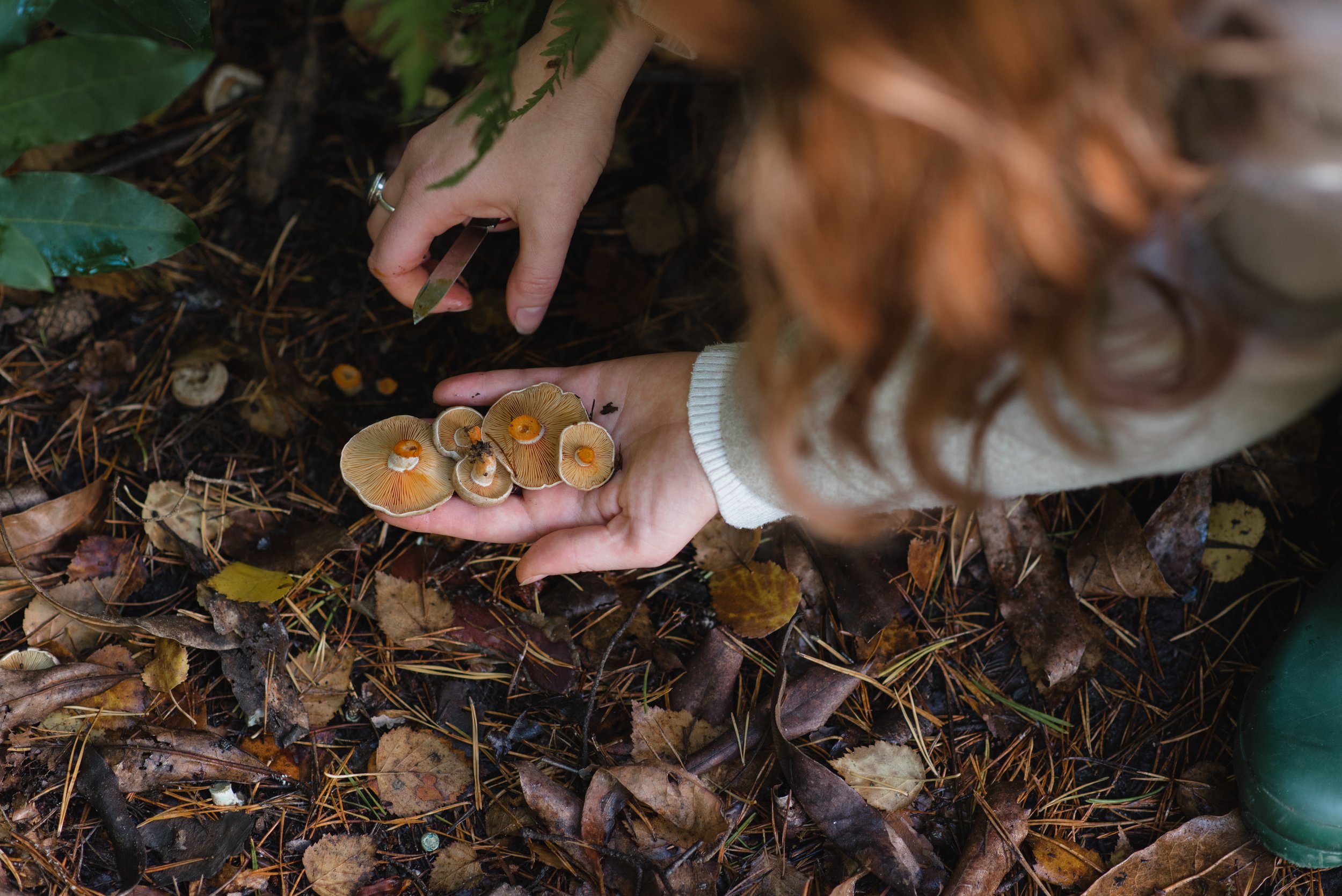 Megan October-12.jpg