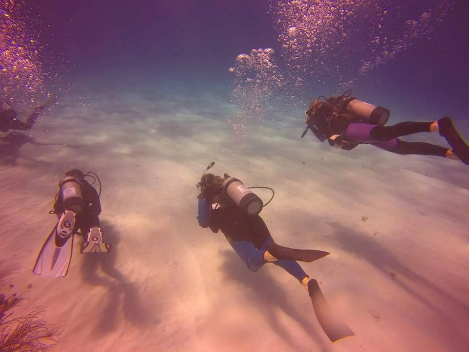 50 Good Things That Happened This Week (While Everyone Was Busy Arguing)