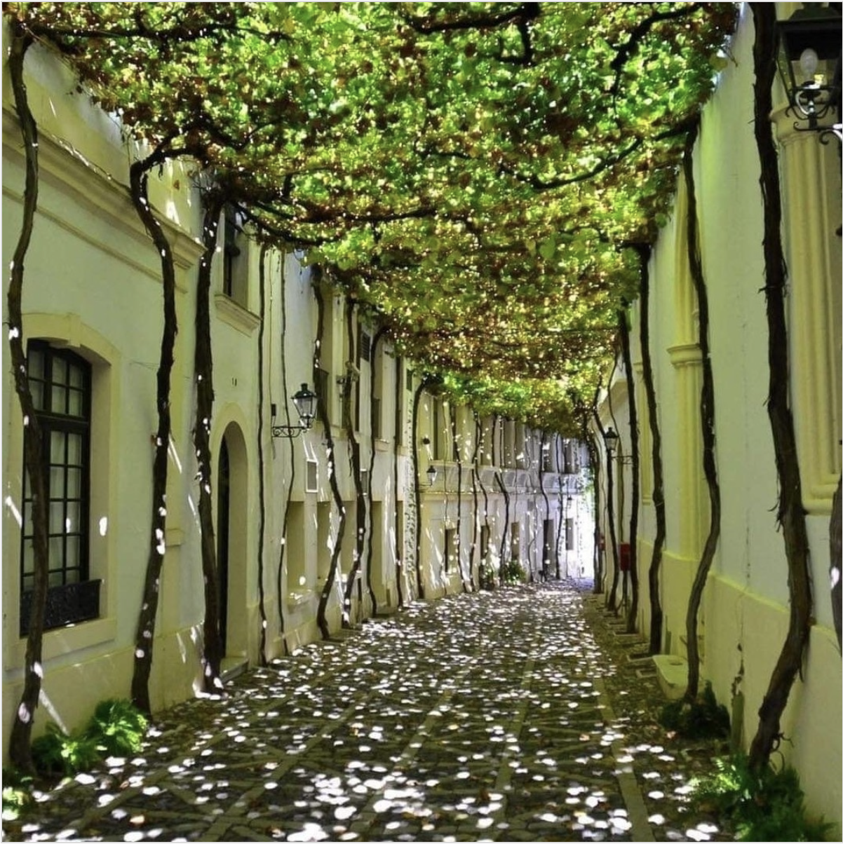 Screenshot 2023-07-07 at 3.45.53 PM.png