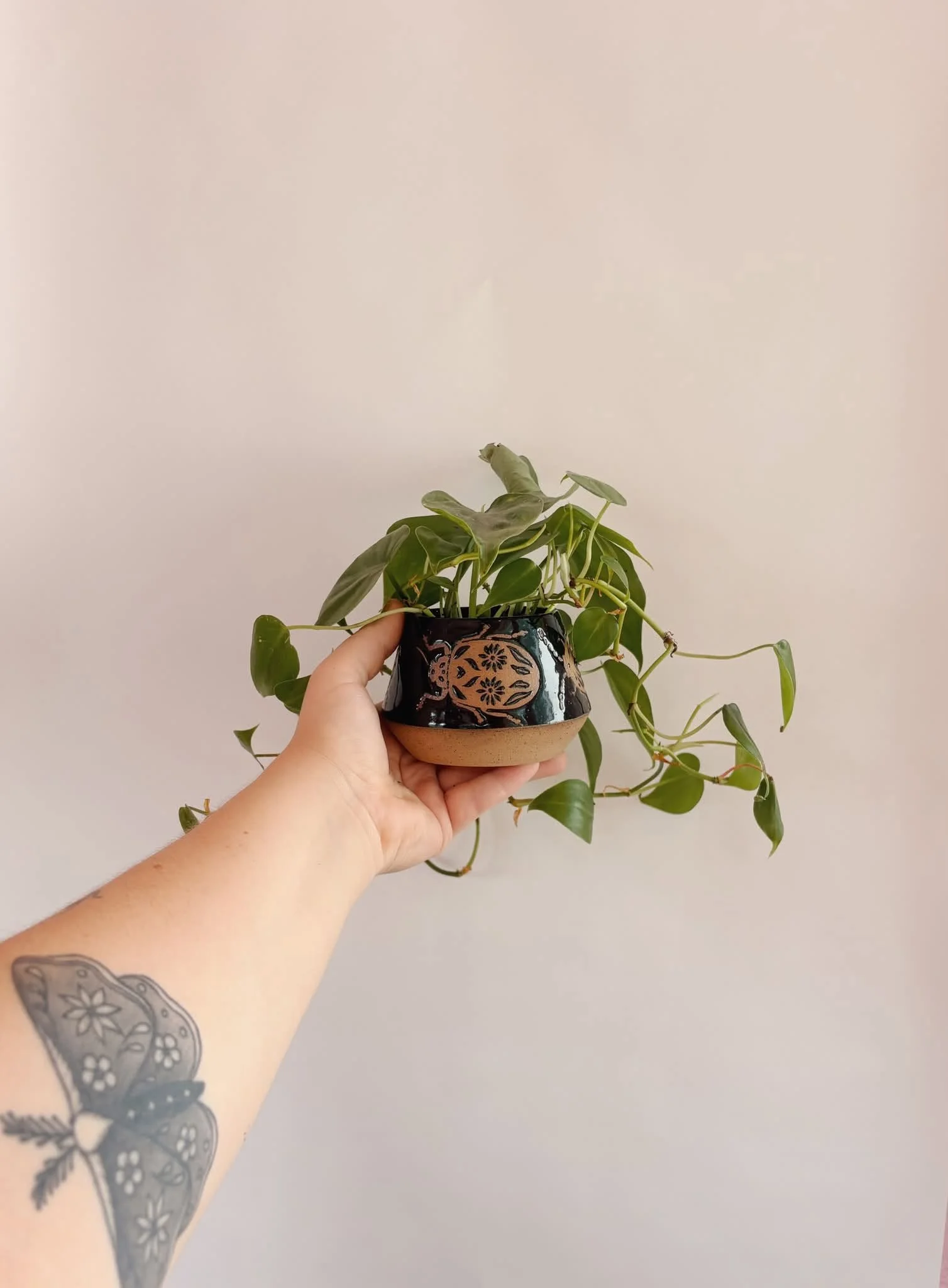 bug planter.jpg