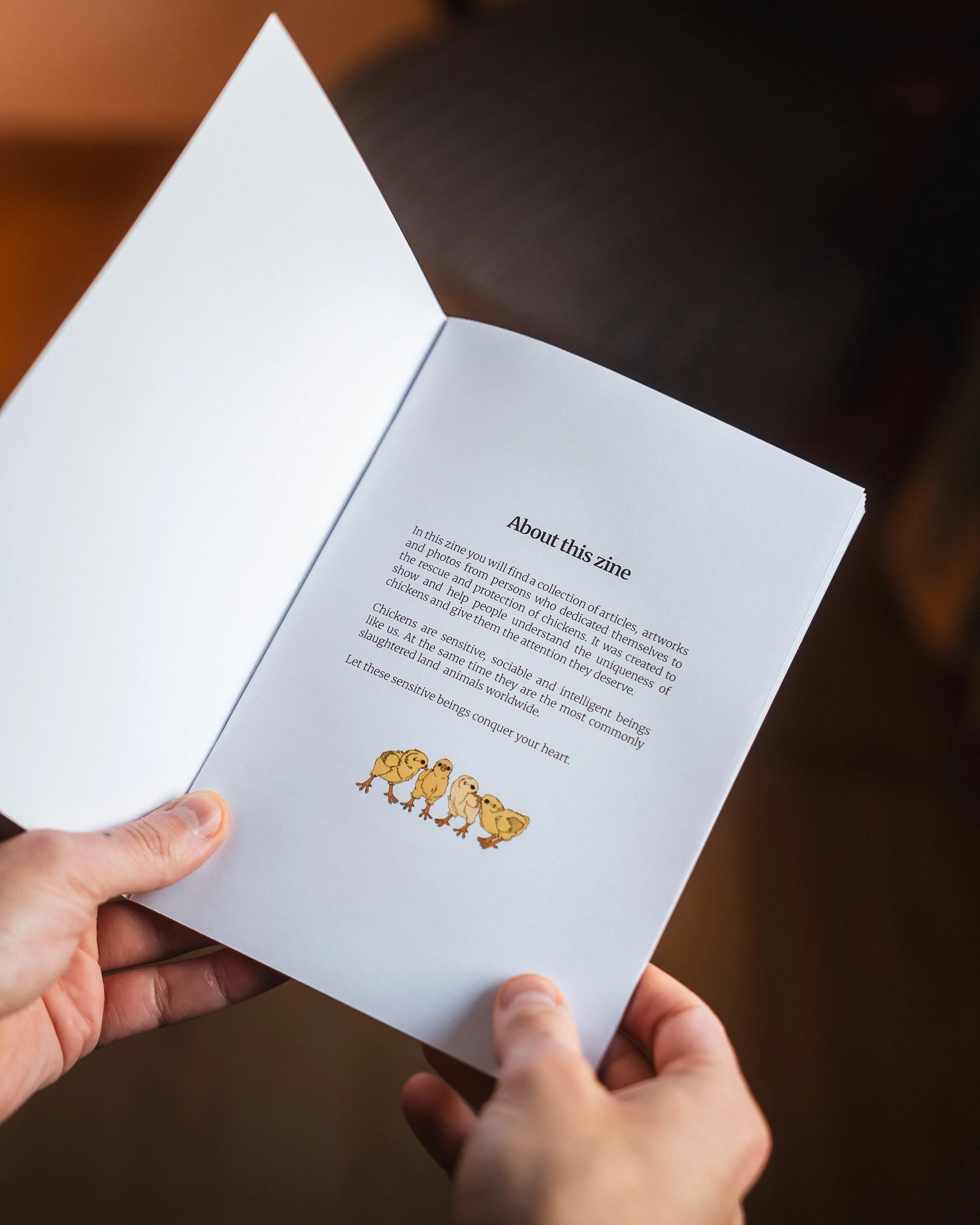 Zine_Photos-09244-2.jpg (Kopie)