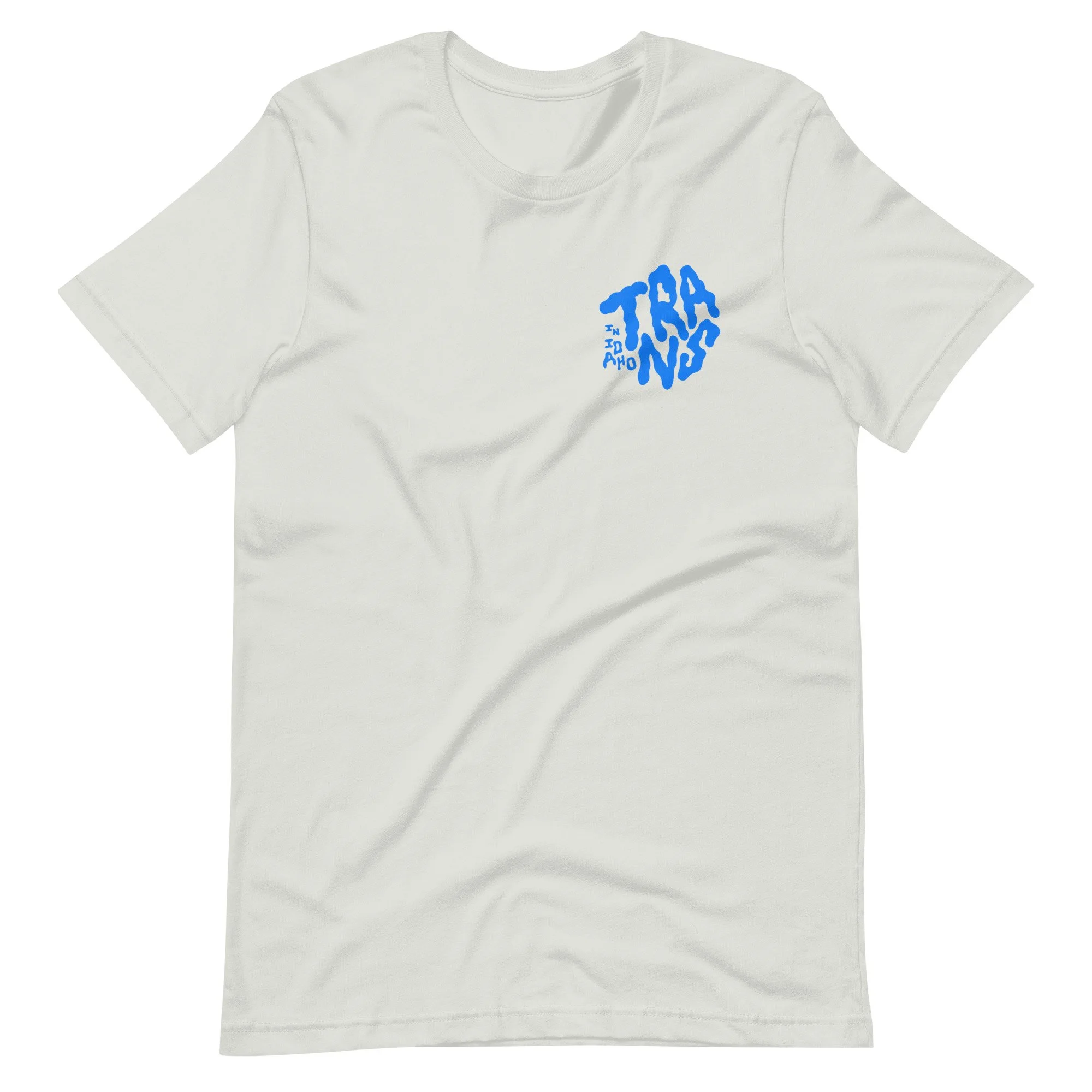 unisex-staple-t-shirt-silver-front-6510a331629b2.jpg