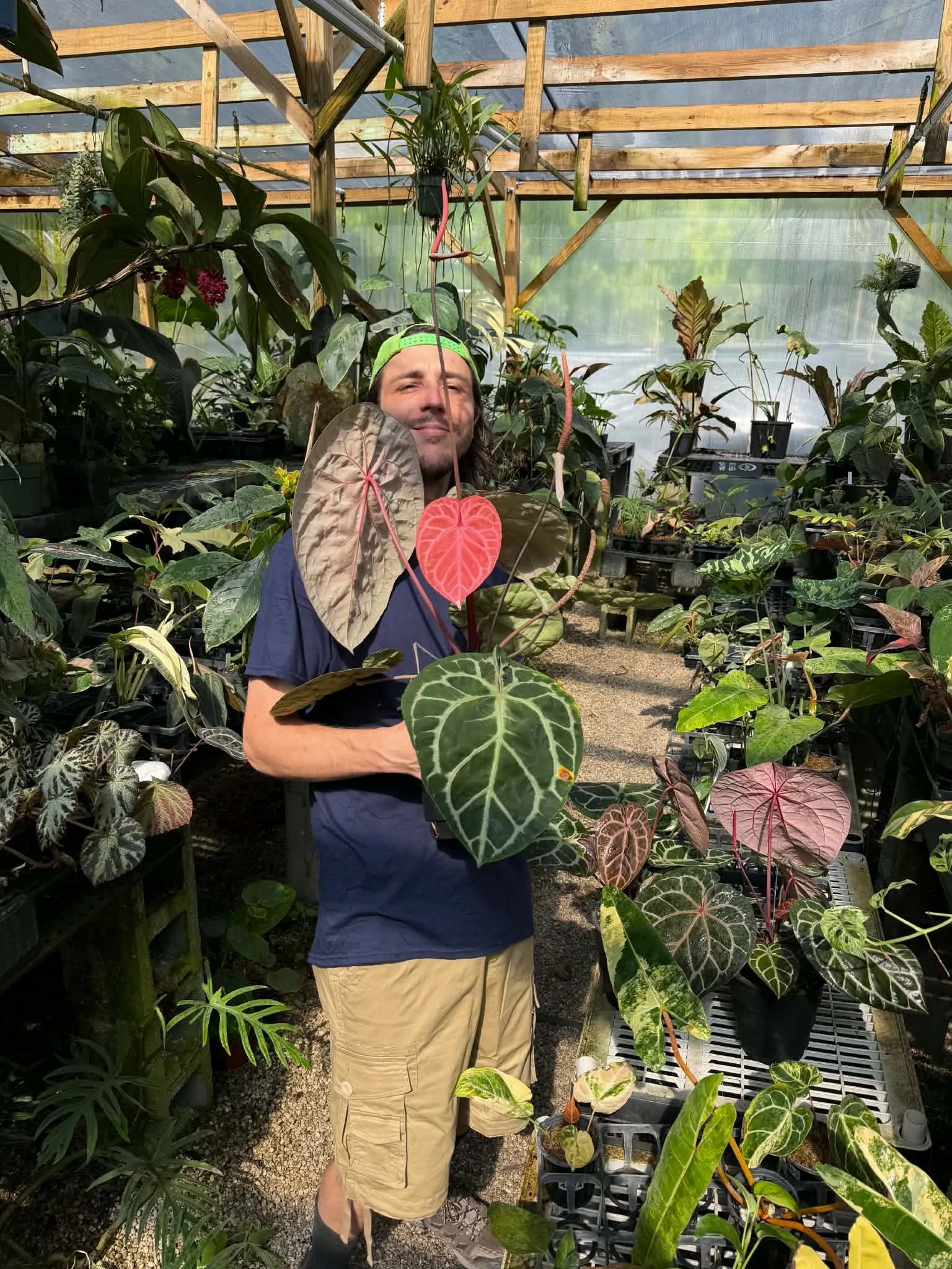Miles surrounded by Anthuriums and tropical plants in the Joyful Growers nursery
