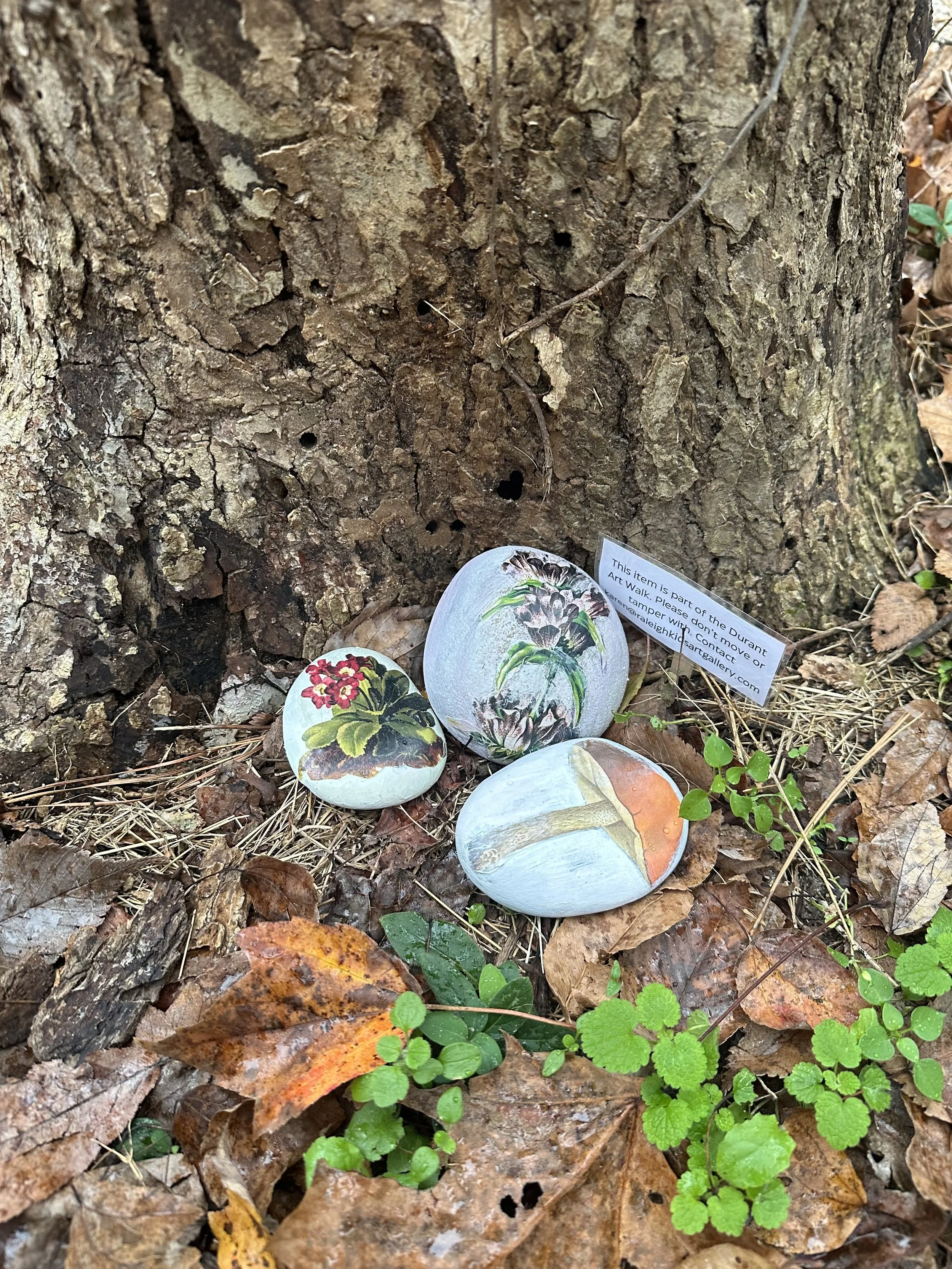 scavenger hunt 2.jpeg