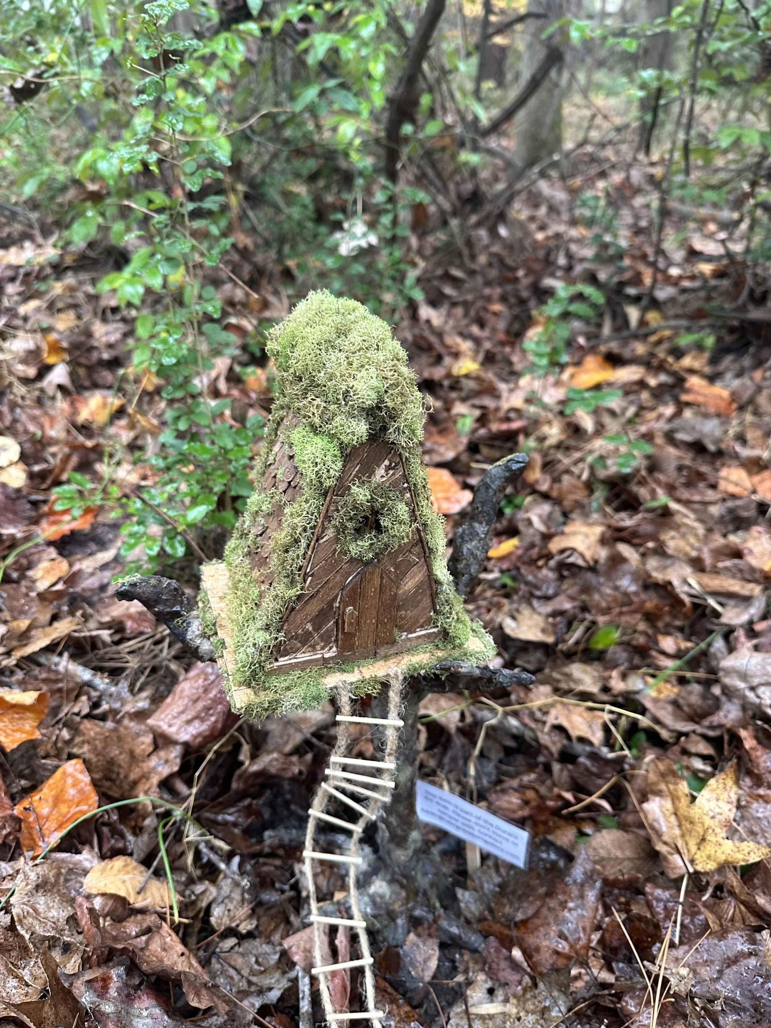 scavenger hunt 3.jpeg