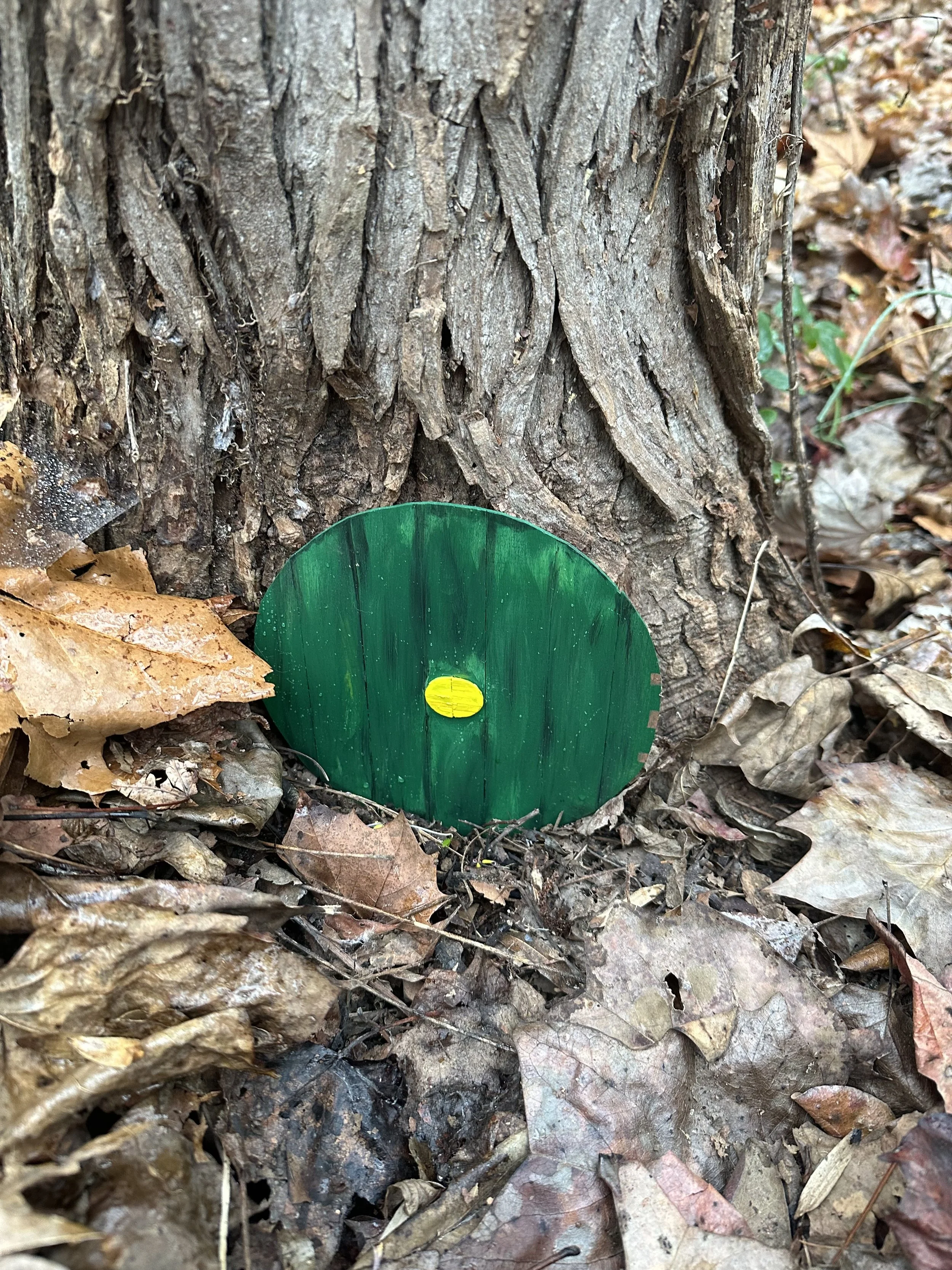 scavenger hunt 4.jpeg