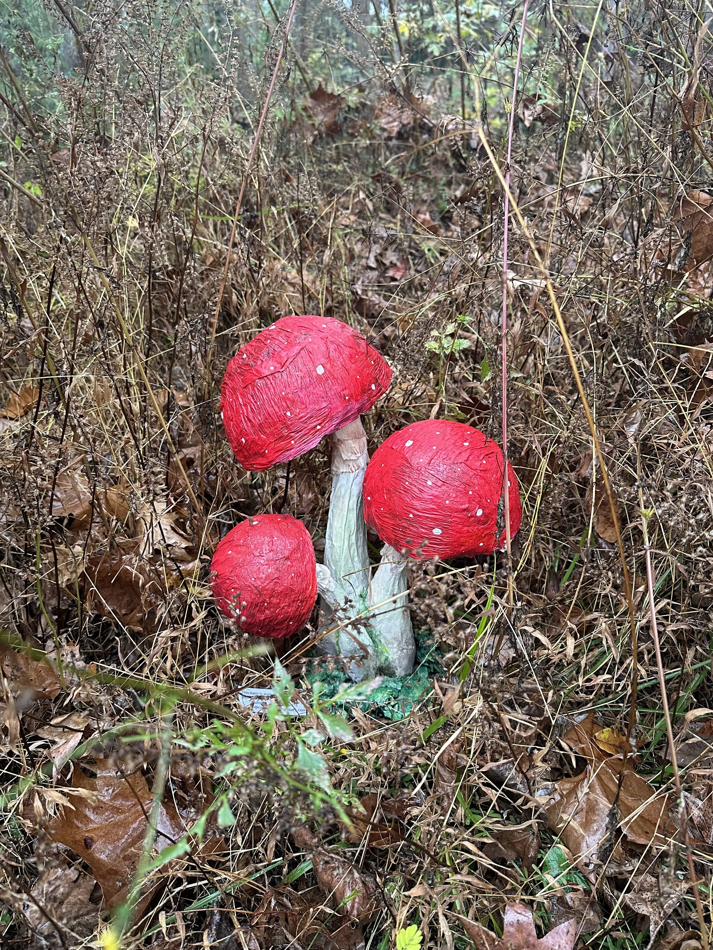 scavenger hunt 7.jpeg