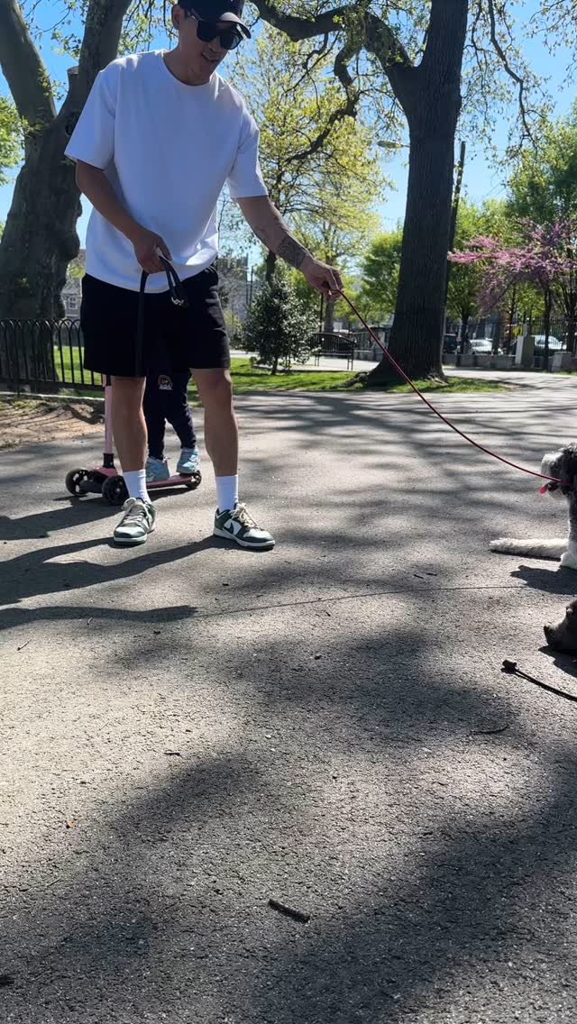Maizie’s wrapping up her Board+Train program and we’re so proud of how far she’s come! From building impulse control to mastering her obedience - Maizie’s shown she’s ready to take on the world.
Do you think Maizie&rsqu