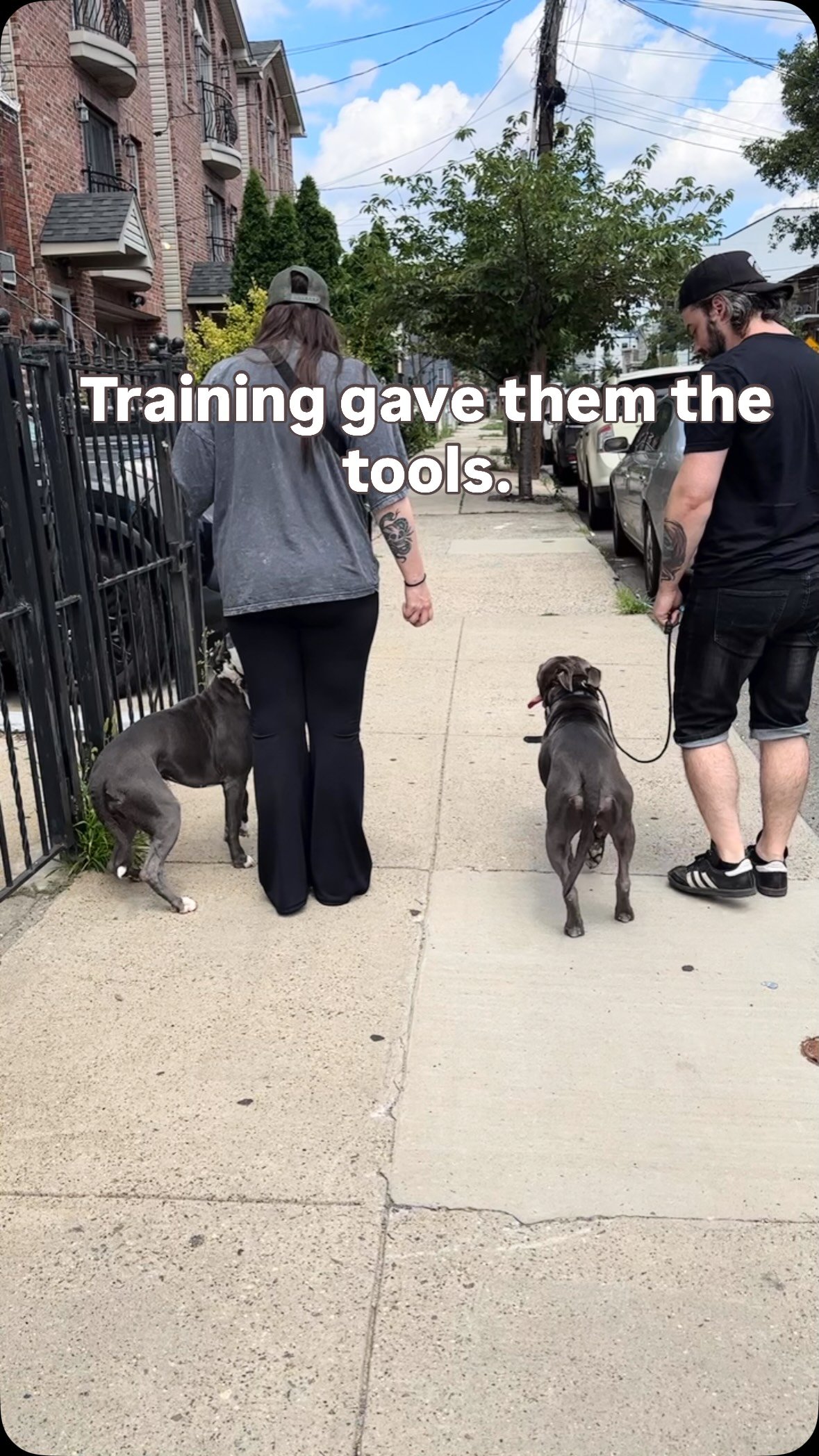 Bean & Rebel put in the work during their board and train - but the real transformation starts at home. Training doesn’t end when they go home… it’s just the beginning.
#dogtraining #dogsofjerseycity