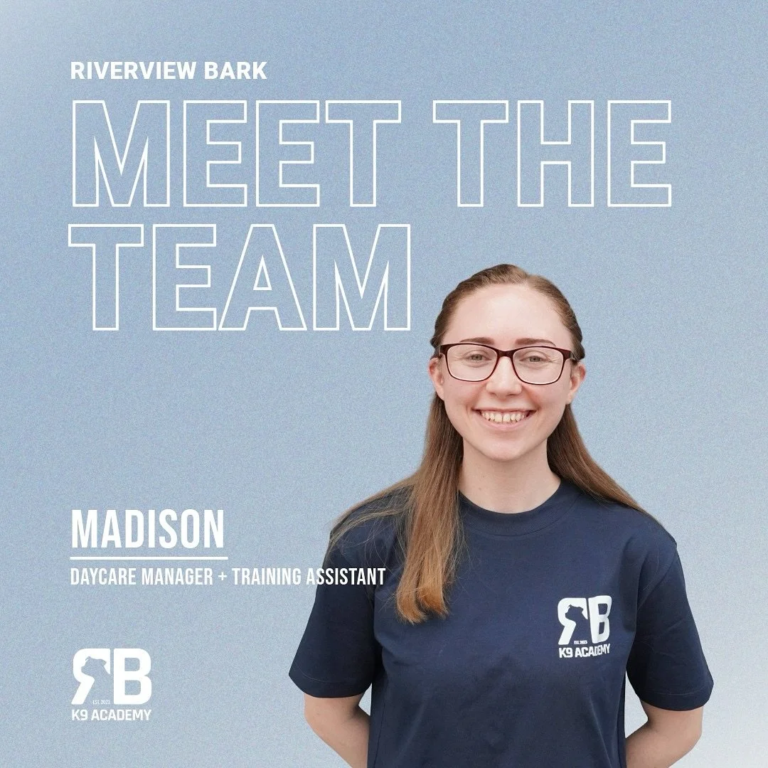It’s been a long time coming but we’re finally introducing the team behind Riverview Bark - starting with Madison! Our Daycare Manager & Training Assistant (aka the calm energy behind all the chaos).
Originally from Indiana, Madison