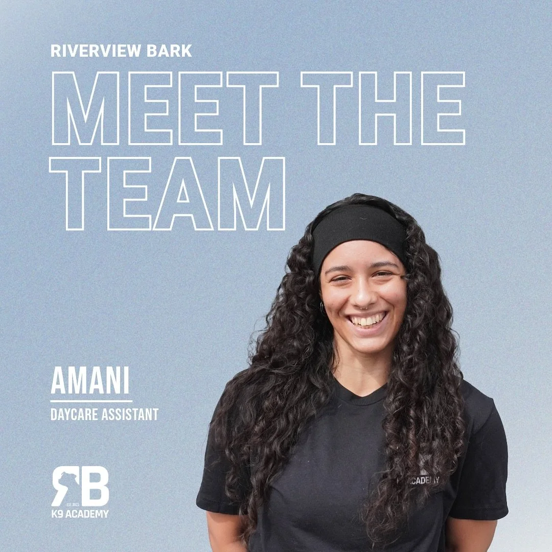 Meet Amani 🐾
Our Daycare Assistant and full-time student working toward a lifelong career alongside animals.
Currently studying Biotechnology, Amani’s on track to continue her journey at Rutgers for Animal Science. From dogs to reptiles, she
