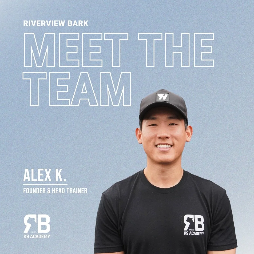 Meet Alex - Founder & Head Trainer here at Riverview Bark
What started as a side passion turned into a full-time mission: helping dogs (and their humans) build calmer, more confident relationships.
Alex specializes in behavior modification and
