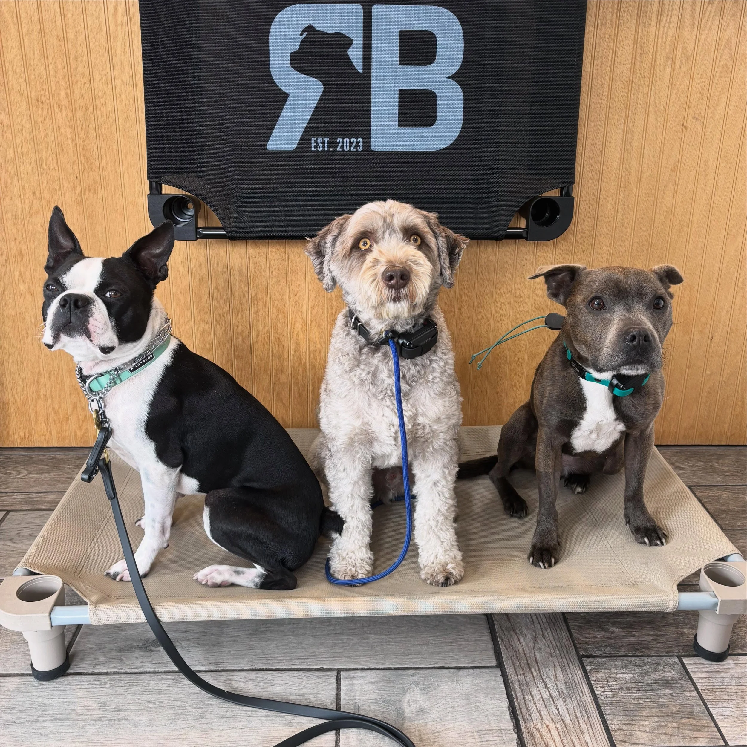 Our boy Moose is off to Maine 🚗💨

He started off as an O.G. Pack member, and now he&rsquo;ll be making more great memories with his family in their new home! Wishing Moose &amp; his family safe travels, the Riverview Bark family will miss you🐶❤️

