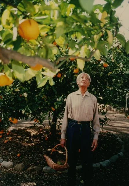 Krishnamurti and the Ojai Valley