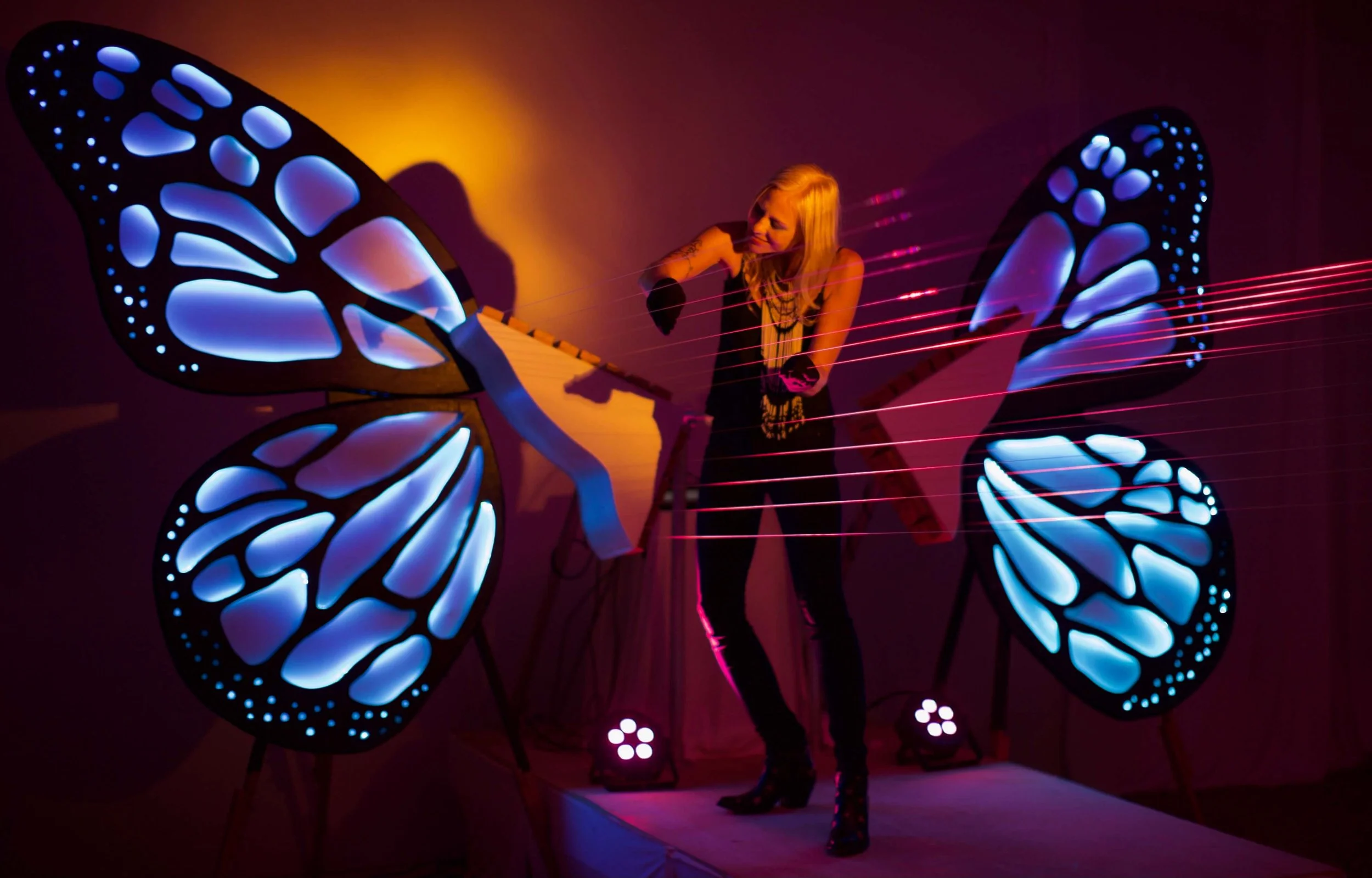 AndreaBrook_SonicButterflyChrisWard_Medium_Size.jpeg