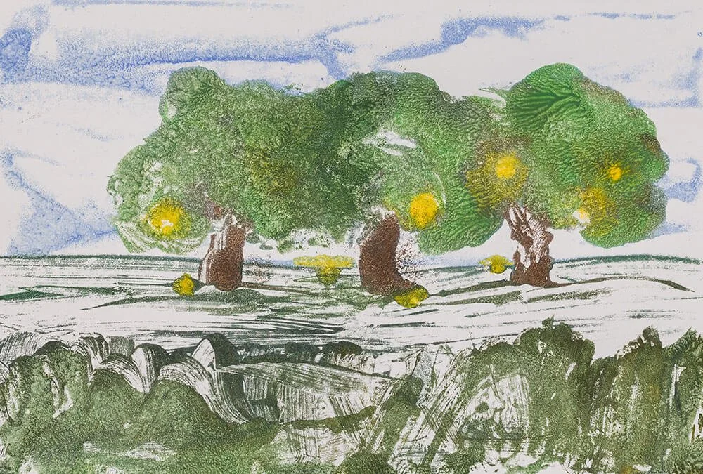 Little Lemon Grove