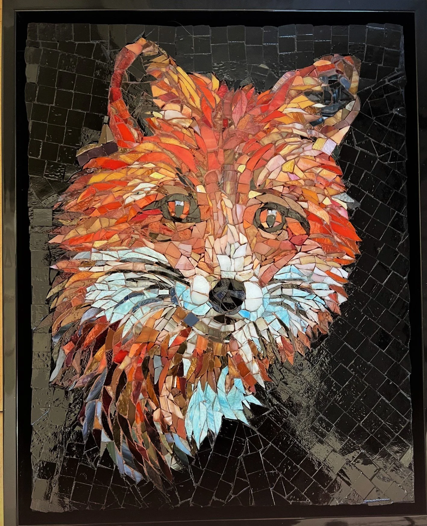 fox edited use.jpg