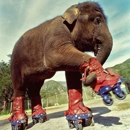 Tarra the Roller Skating Elephant
