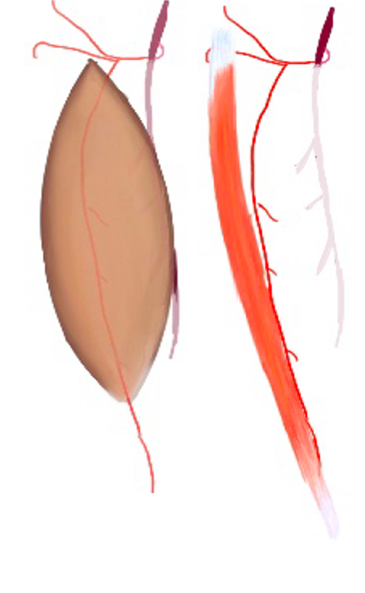 Picture1.png