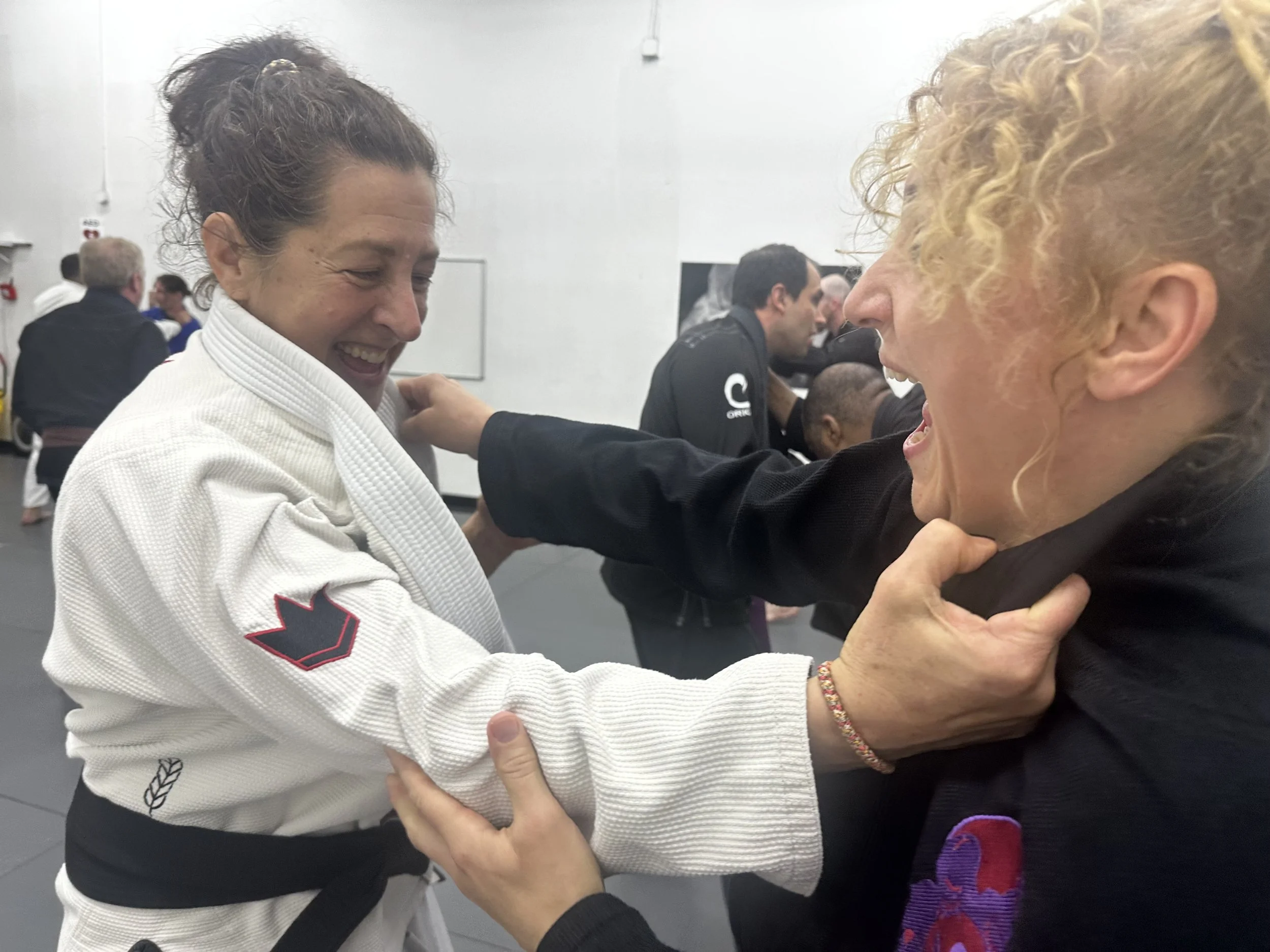 Beginner’s Guide to Jiu Jitsu — Learn to Play the Game