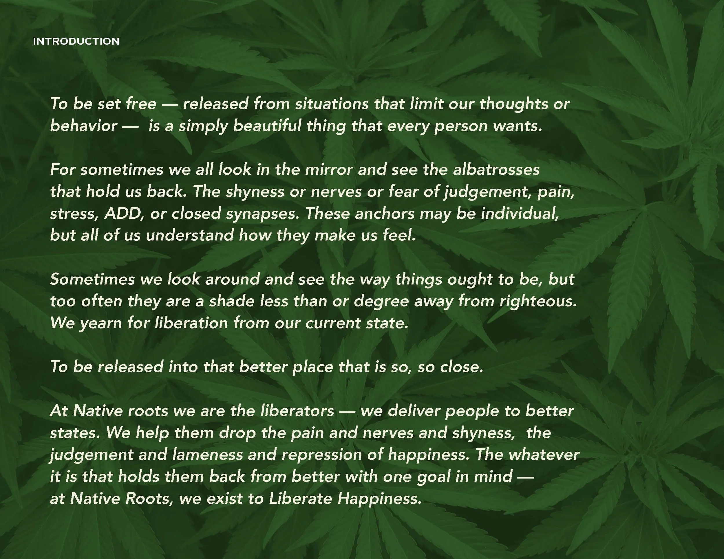 Native Roots Brand Guidelines_Page_04.jpg