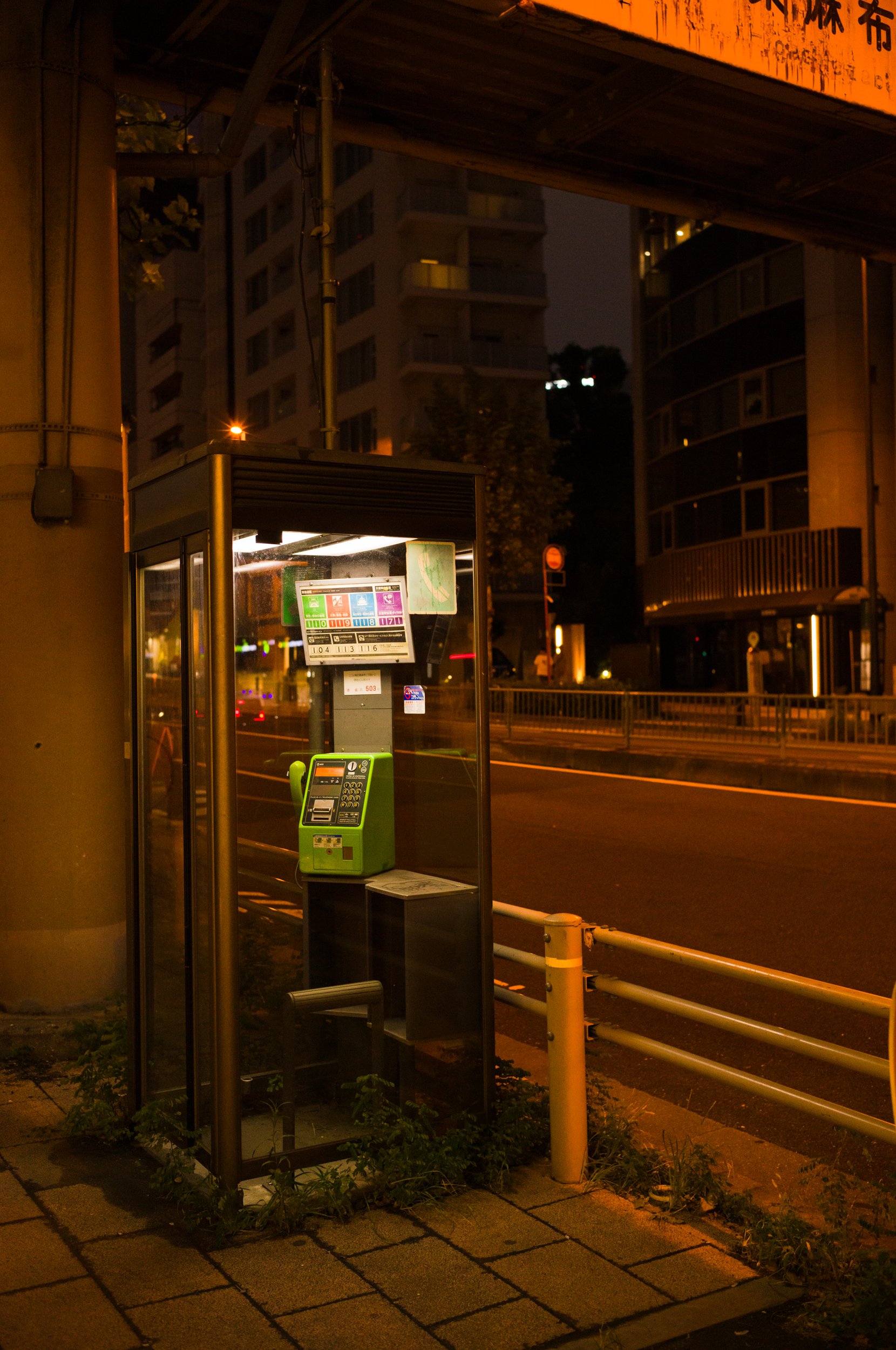 L1002755.jpg