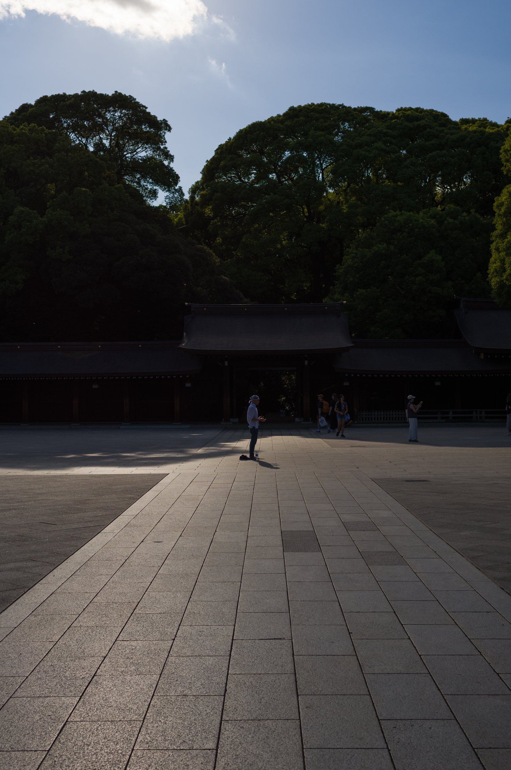 L1002681.jpg