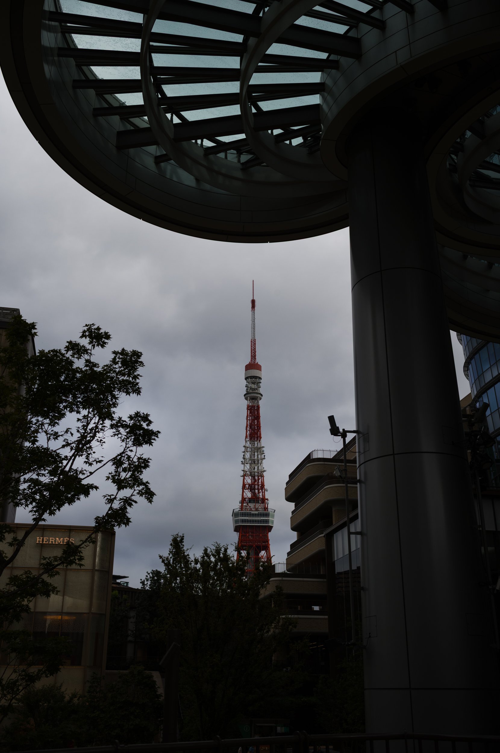 L1002727.jpg