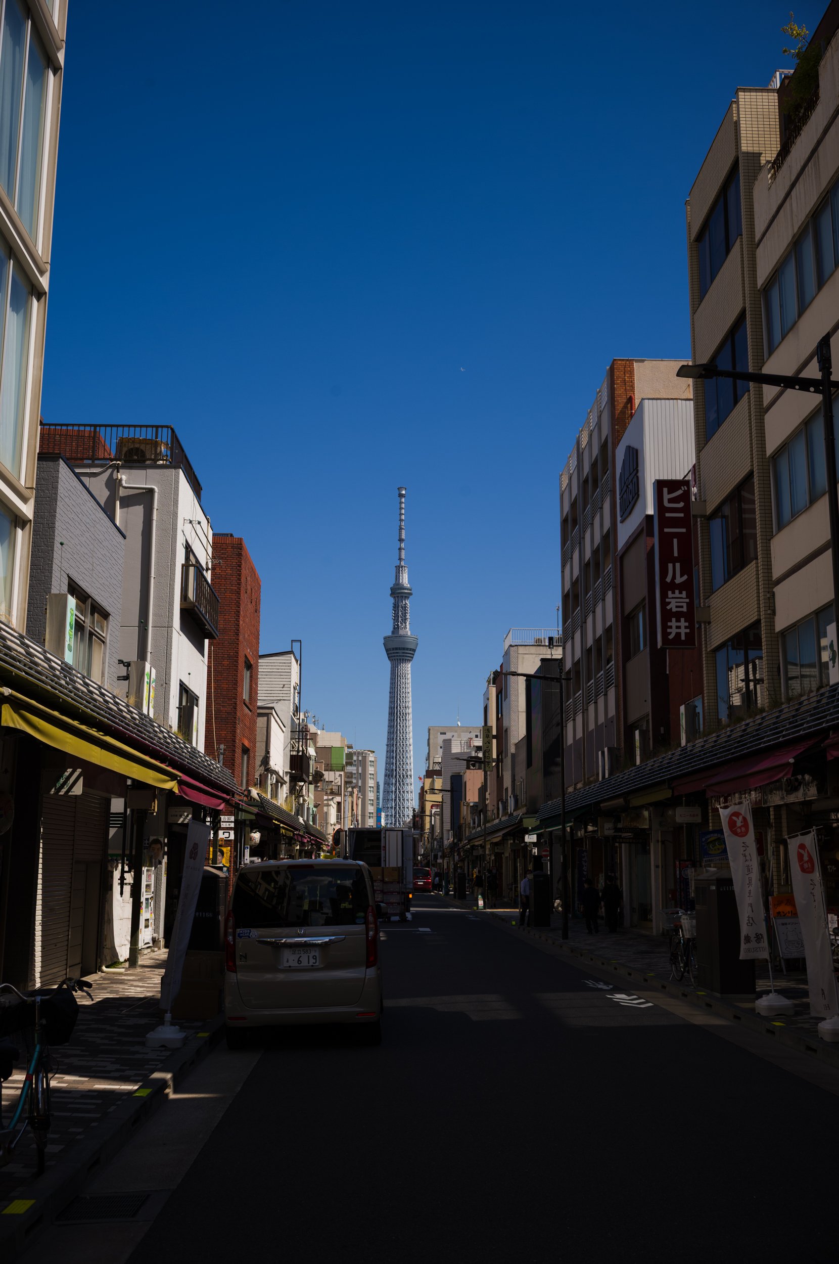 L1002697.jpg