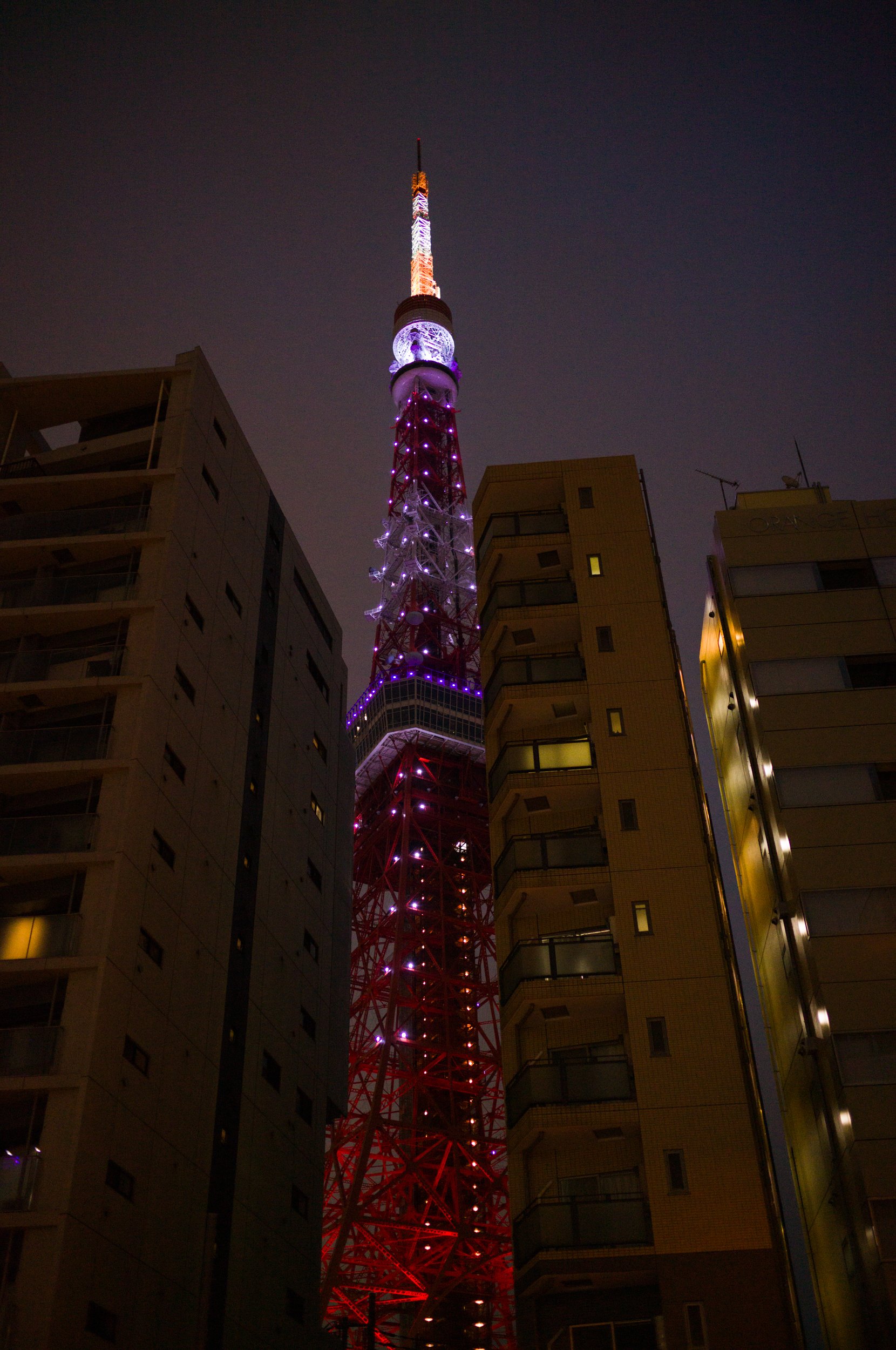 L1002751.jpg