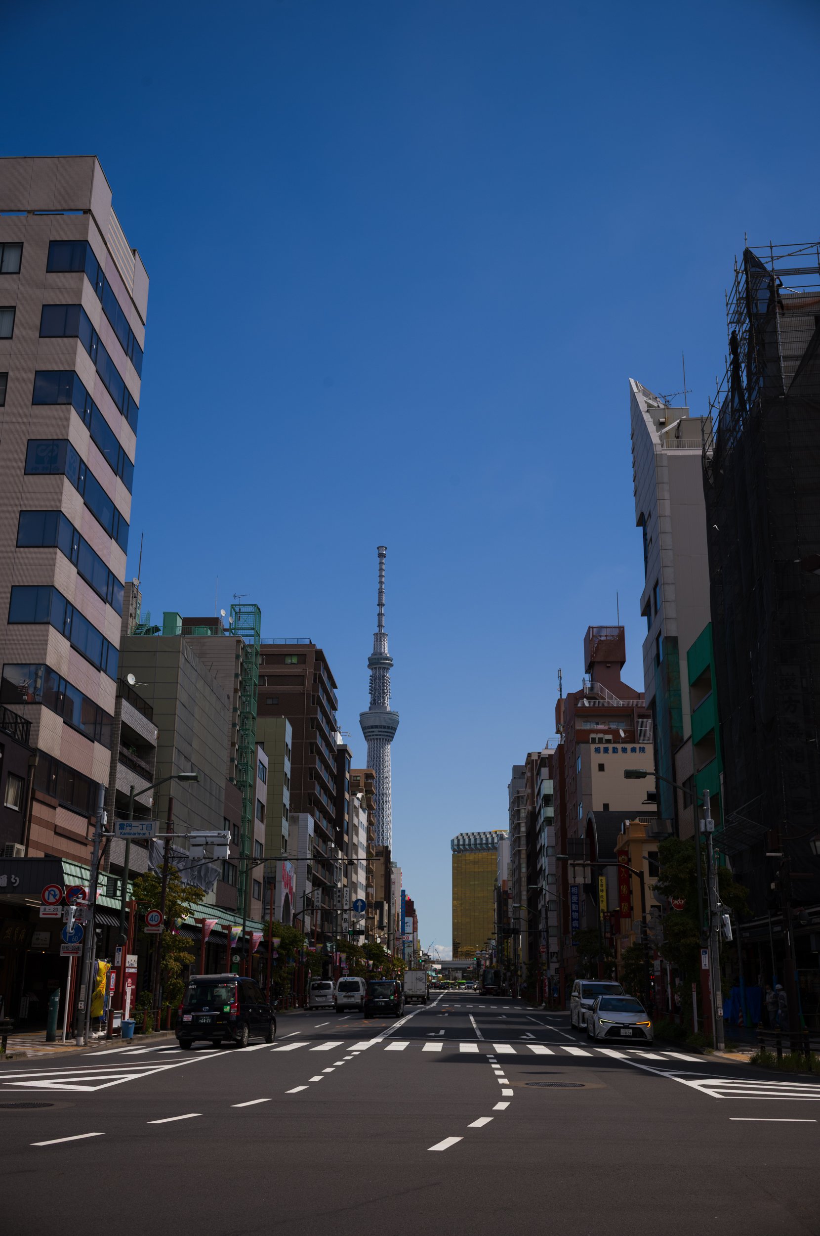 L1002690.jpg