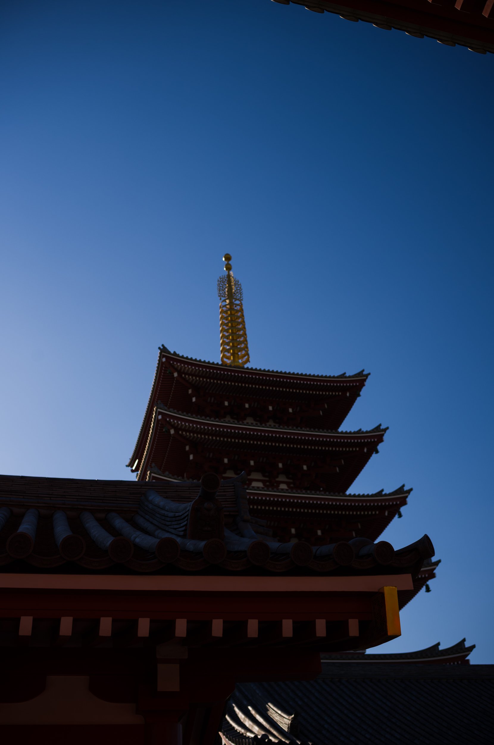 L1002708.jpg