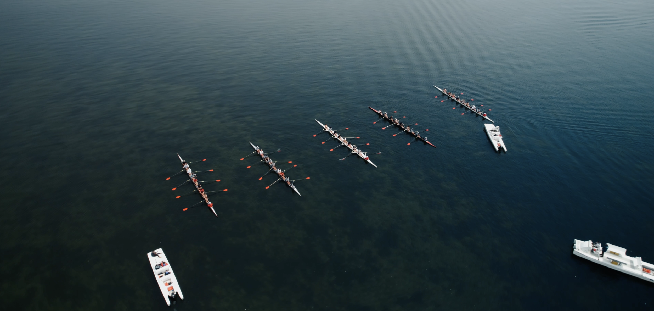 THE COXSWAIN