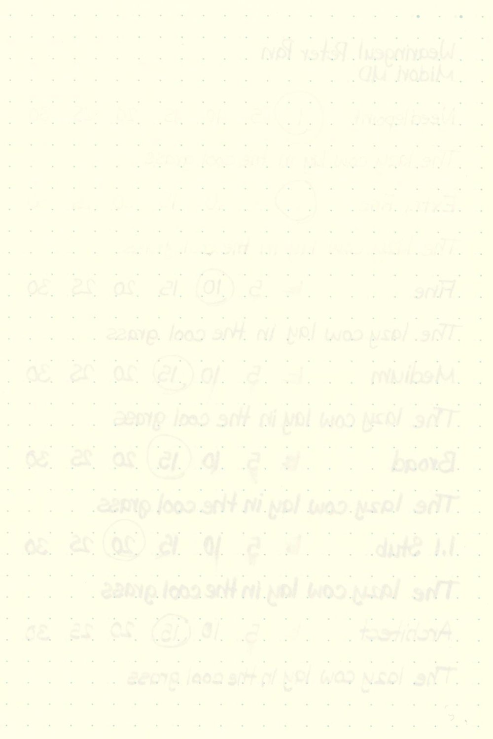 Wearingeul-Peter-Pan-Ink-Test-Midori-Rear.jpg