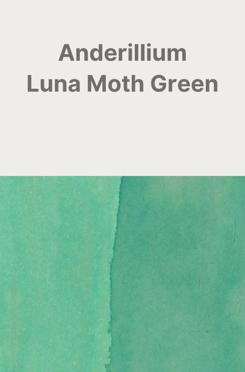 Anderillium-Luna-Moth-Green-Card.jpg