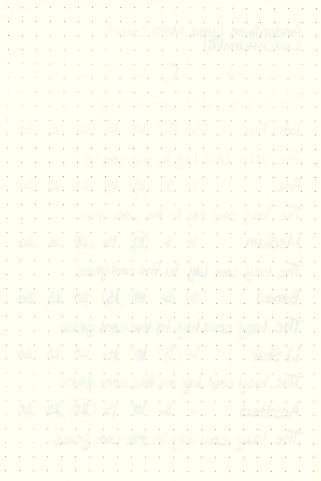 Anderillium-Luna-Moth-Green-Ink-Test-Leuchtturm-Rear.jpg