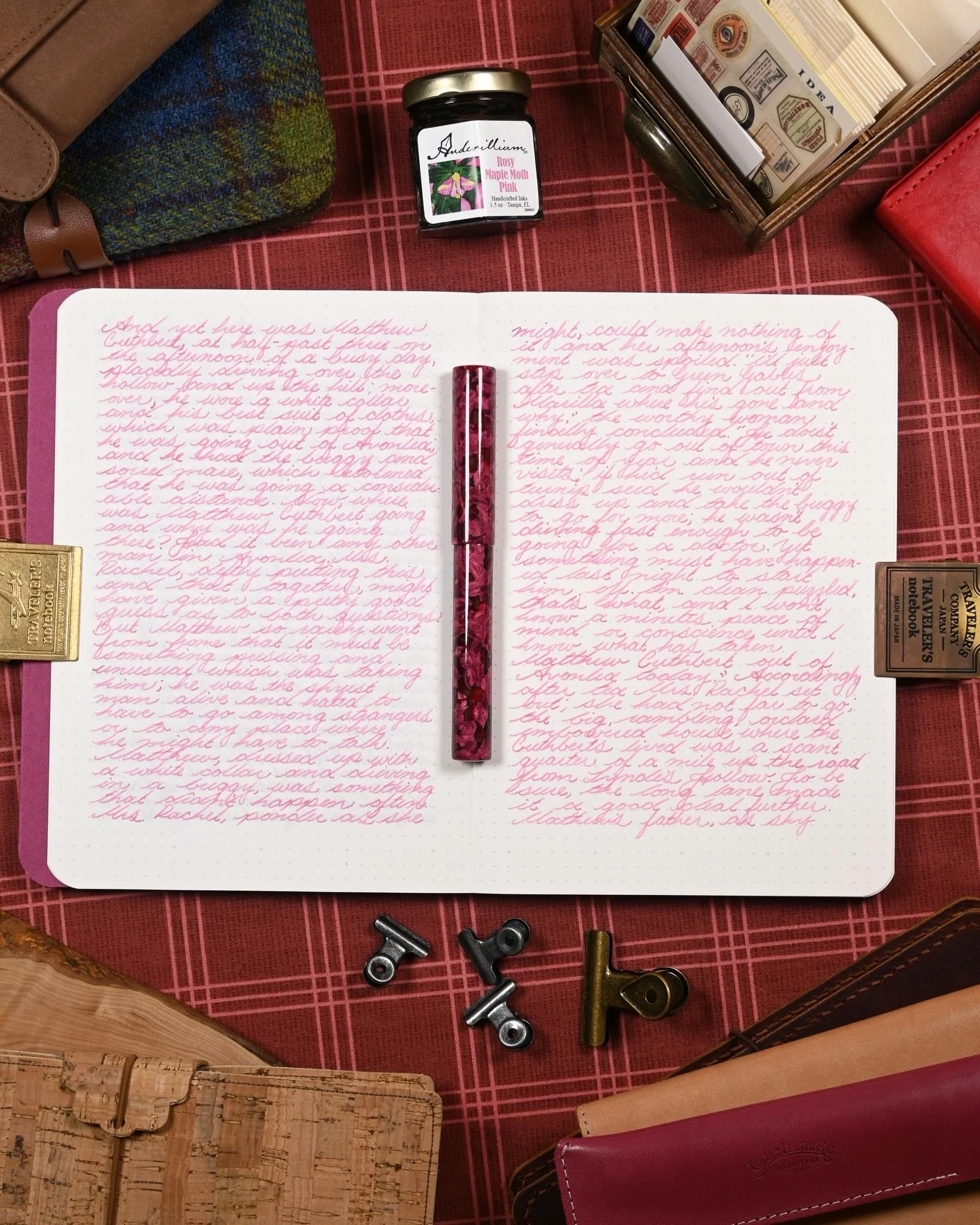 Anderillium Rosy Maple Moth Pink

Wow, it&rsquo;s been years since I showed this one last, how time flies! Rosy Maple Moth is still excellent though &mdash; vibrant and bright, with a slight blue shadow depending on the lighting, especially on white 