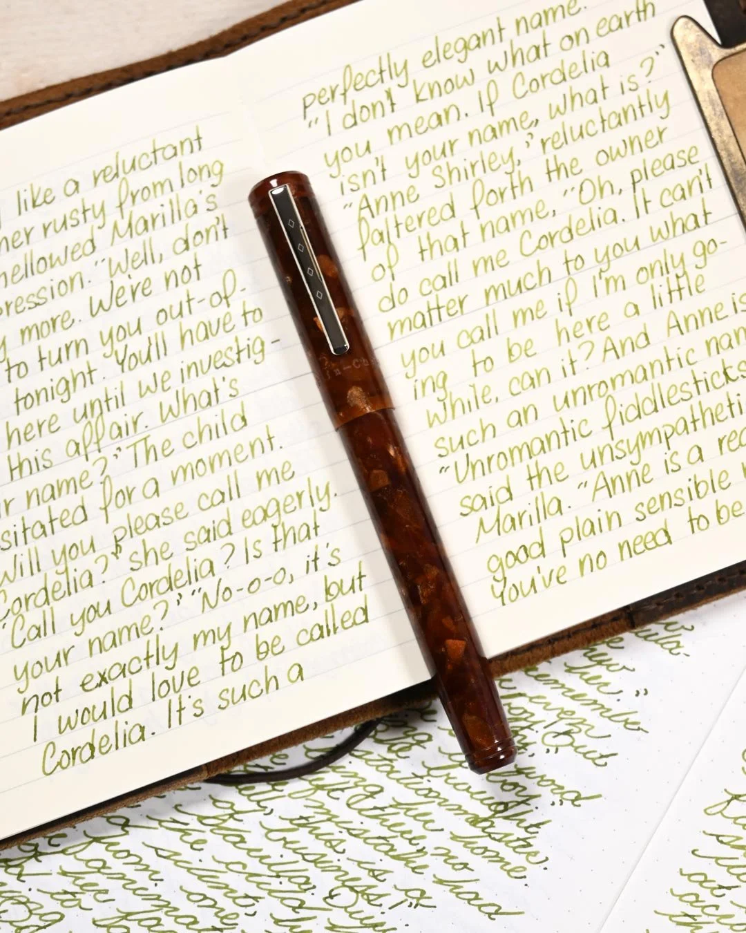 Vinta Sea Kelp Leyte writing sample with Franklin-Christoph model 20 1