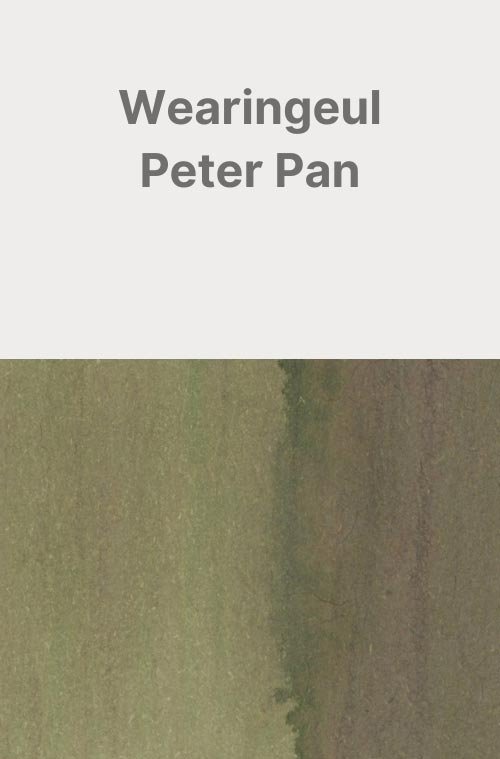 Wearingeul-Peter-Pan-Card.jpg