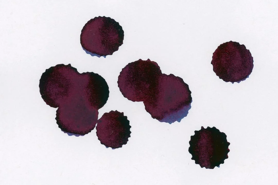 Diamine Dream Catcher ink droplets