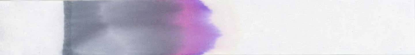 Wearingeul The Raven chromatography