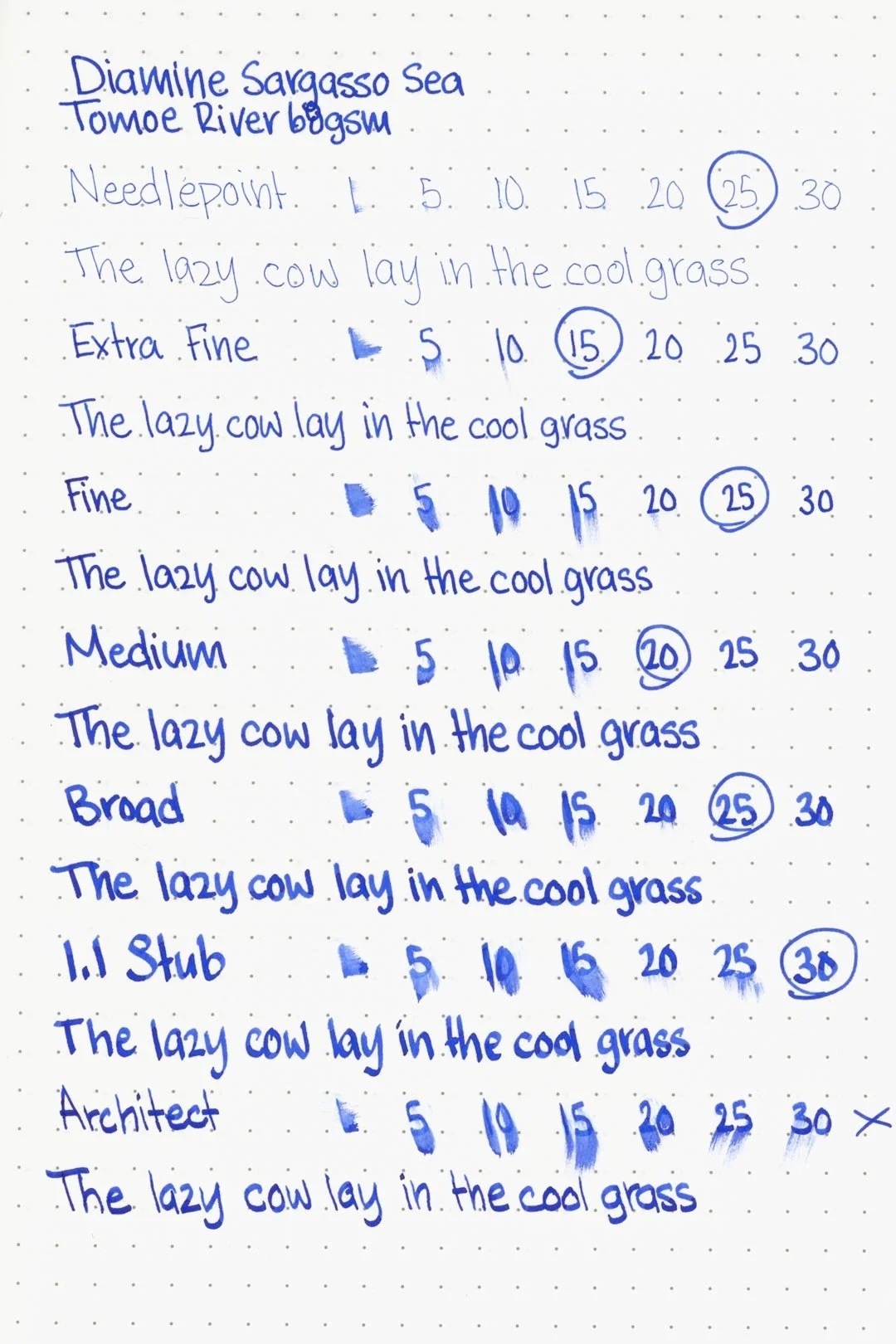 Diamine-Sargasso-Sea-Ink-Test-Tomoe-River-Front.jpg