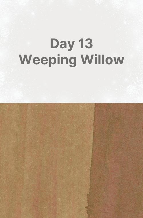 Day 13: Weeping Willow