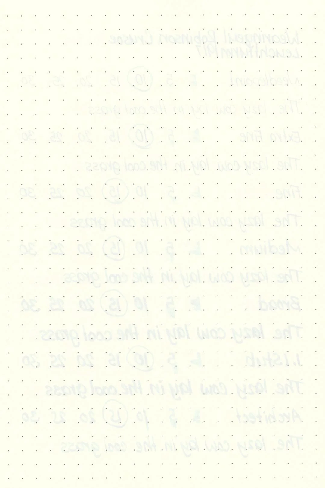 Wearingeul-Robinson-Crusoe-Ink-Test-Leuchtturm-Rear.jpg
