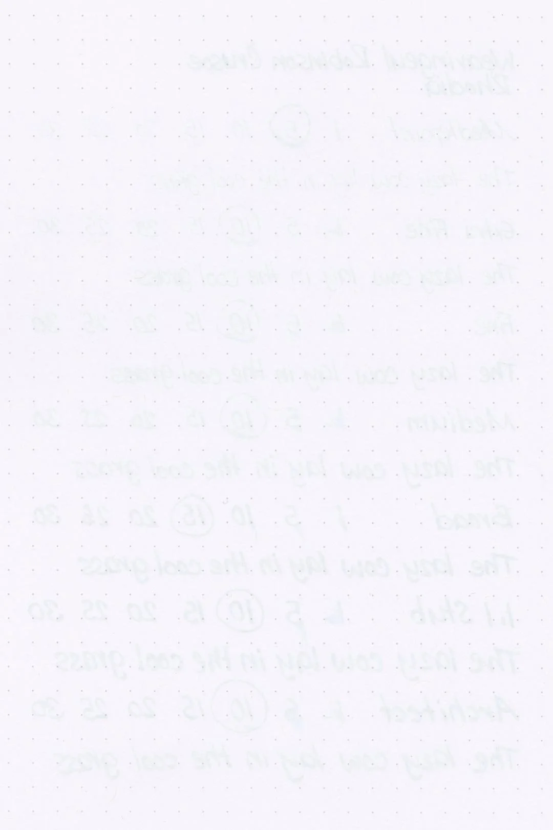 Wearingeul-Robinson-Crusoe-Ink-Test-Rhodia-Rear.jpg