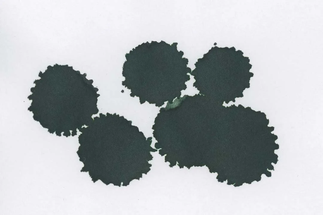 Monteverde Jade Noir ink droplets