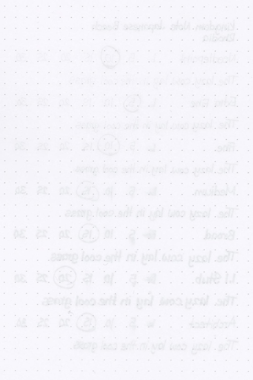 Kingdom-Note-Japanese-Beech-Ink-Test-Rhodia-Rear.jpg